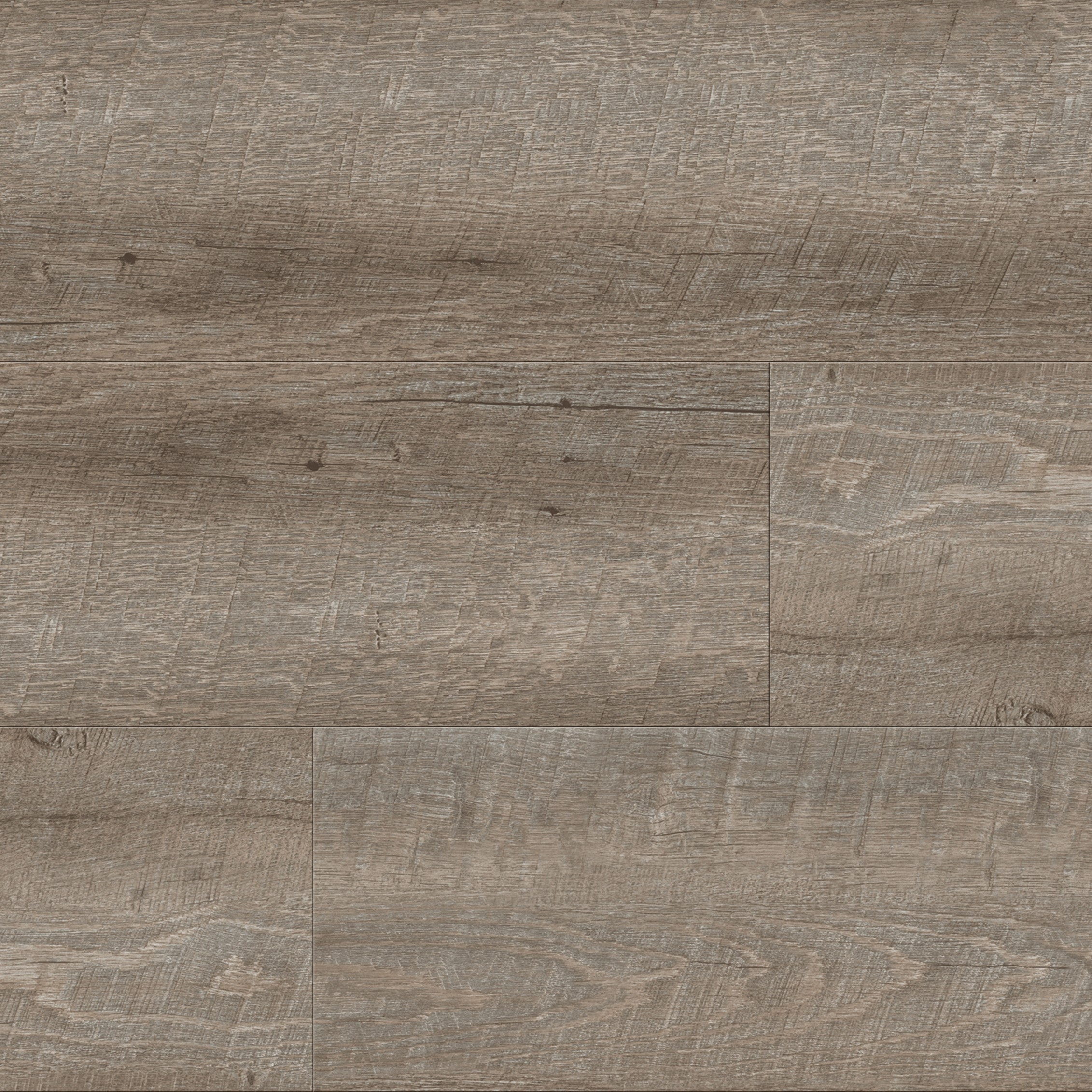 Silk Saddle Oak